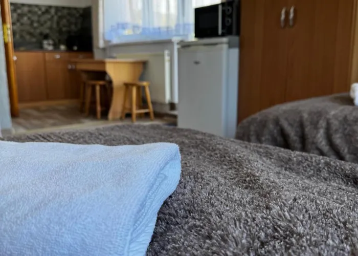 Pokoje I Apartamenty Regionalny Styl Ul Krole 1A Zakopane